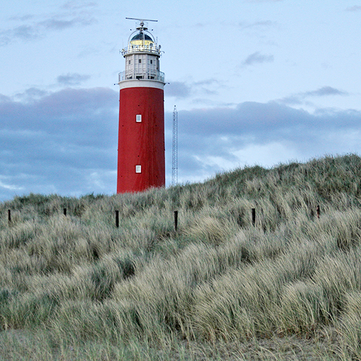 Texel 2013